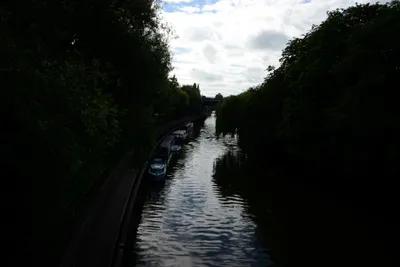 DSC_2686 (Large).JPG